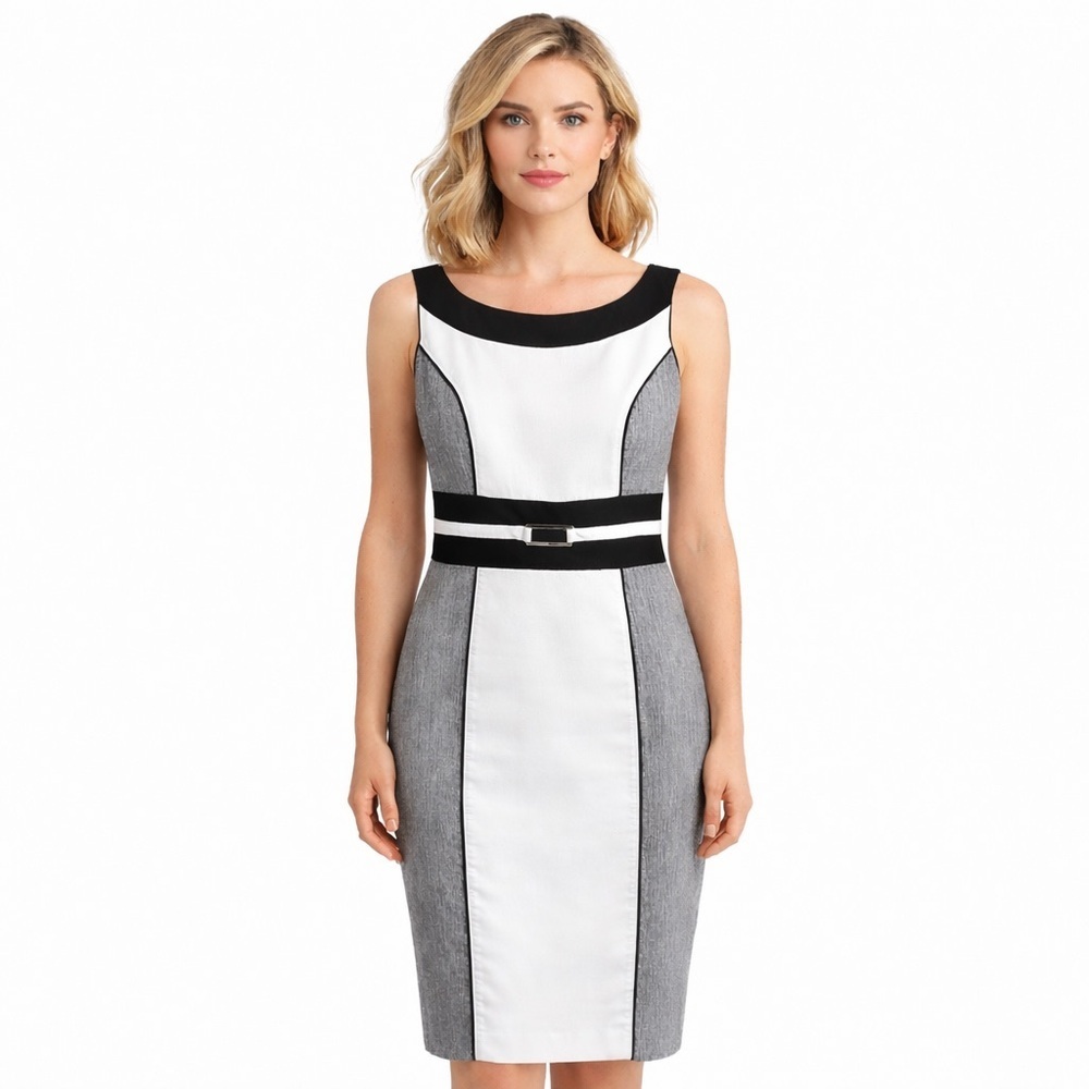 White House Black Market Colorblock Sheath Dress-Size 4